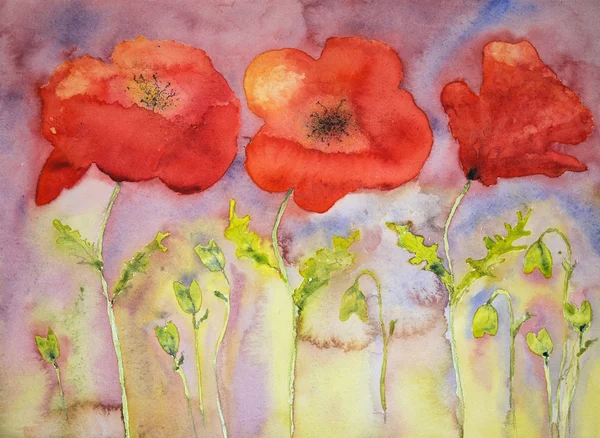 Three poppies against a reddisch sky. — Stock Photo, Image