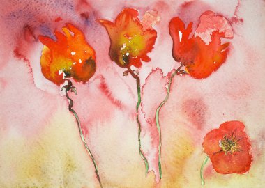 Kırmızı ve yeşil arka plana sahip dört haşhaş.