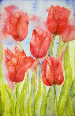 Bir alandaki Lale buketi.