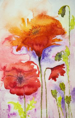 Haşhaş sıcak renkler.