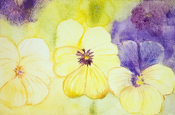 Yellow and purple violets. — Stock Photo, Image