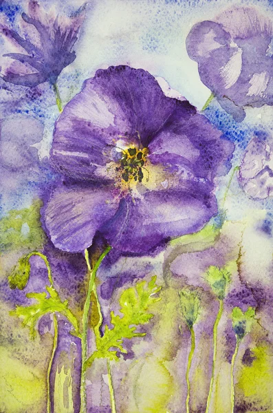 Impresia violetelor într-un câmp . — Fotografie, imagine de stoc