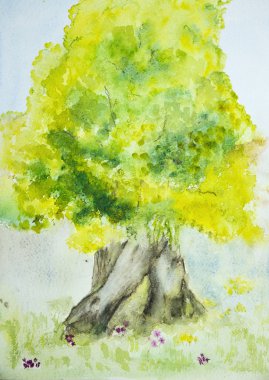 Yeşil ağaç yürüme.