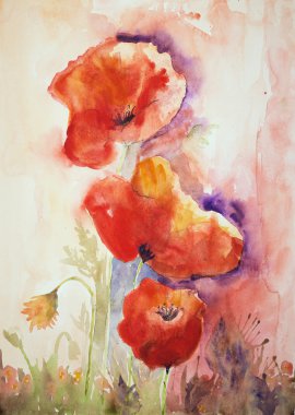 Ağaç bir alan üzerinde yükselen haşhaş.