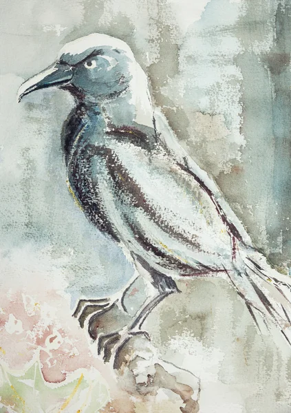 Um corvo azulado em um ramo com um fundo arejado . — Fotografia de Stock