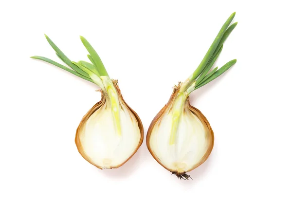 Onions, cut in half — Stock Photo, Image