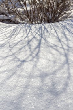 Çalılıkların üzerinde kar üzerinde gölge