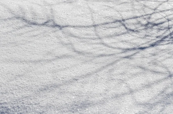 Гра тіней на снігу — стокове фото