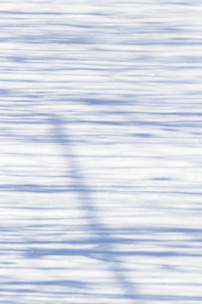 Un jeu d'ombres sur neige — Photo