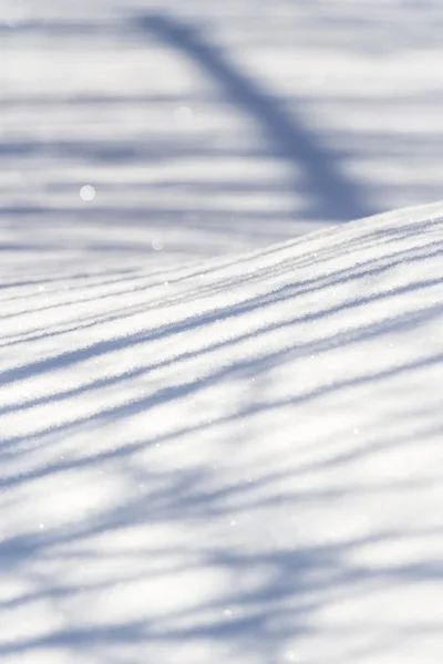 雪の上の影のゲーム — ストック写真