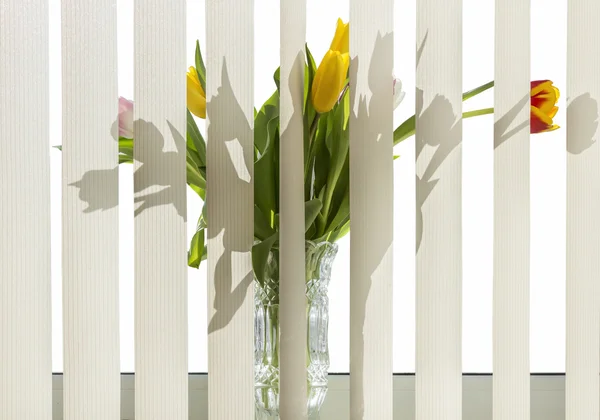 Flores en el alféizar de la ventana — Foto de Stock