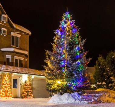 Evin dışında Noel ağacı