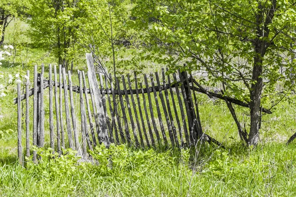Зруйнований дерев'яний сільський паркан — стокове фото