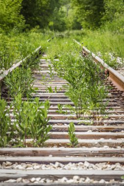 Eski terk edilmiş tren