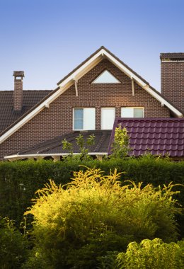 Arka bahçede bir görünümünü