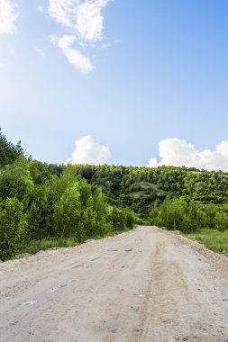 Ormandan geçen toprak yol.