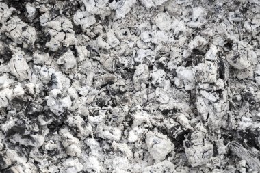 Yakılan kömürlerin portre.