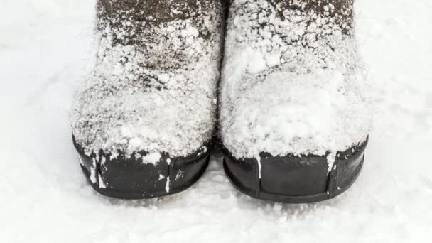 Botas de fieltro de invierno en la nieve — Vídeo de stock