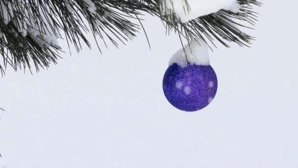 木の上のクリスマスツリーのおもちゃ — ストック動画