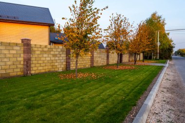 Köyde sonbaharda çalıların ve ağaçların üzerindeki parlak renkli yapraklar..