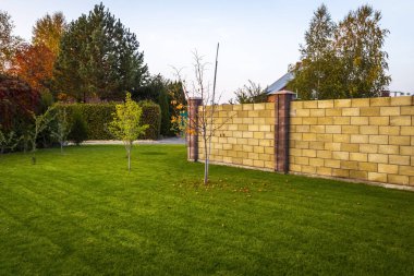 Köyde sonbaharda çalıların ve ağaçların üzerindeki parlak renkli yapraklar..