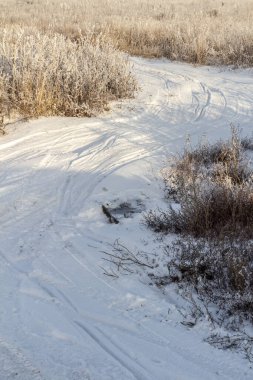Açık güneşli bir günde dar bir kır yolu.