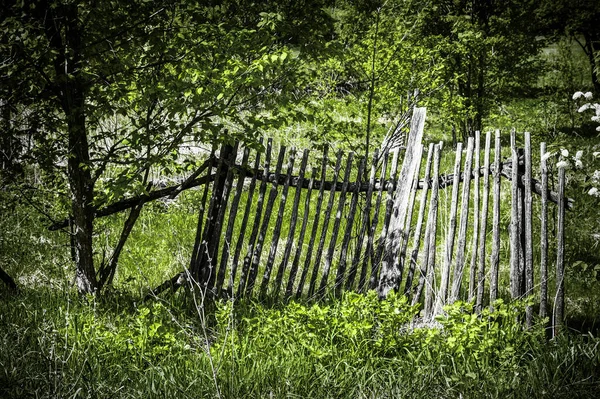 Tönkretett Falusi Kerítés Erdőben — Stock Fotó