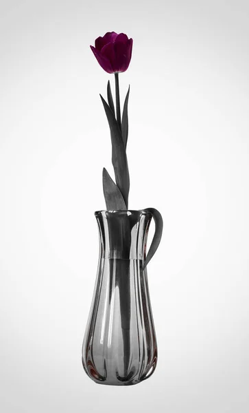Red Tulip Vase Black White Background — Stock Photo, Image