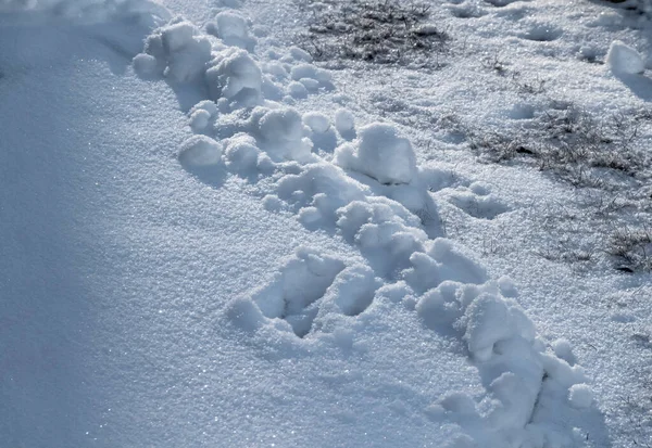 Der Fliesenweg Hinterhof Wird Vom Schnee Befreit — Stockfoto