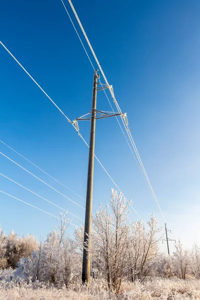 High-voltage wires and poles are covered with frost on a frosty winter day.