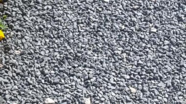 Parlak çiçek yatak