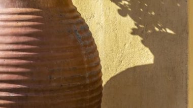 Dekoratif iç çiçek