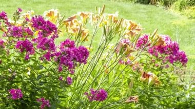 Arka bahçenin peyzajı