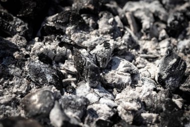 Izgarada yanmış kömür var..