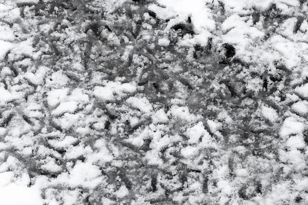 新雪の上には鶏道がたくさんある — ストック写真