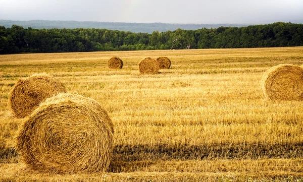 Twisted straw — Stock Photo, Image