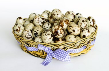 bıldırcın yumurtası