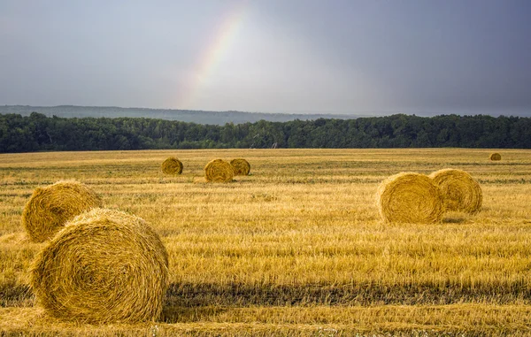 Stroh verdreht — Stockfoto