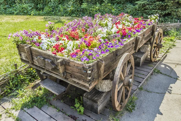 Vagn med blommor — Stockfoto