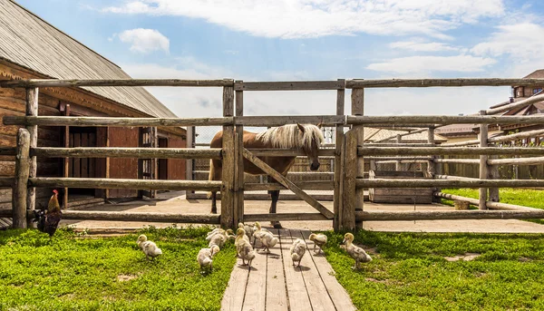 Exploração rural — Fotografia de Stock