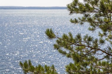 Volga Nehri manzarası