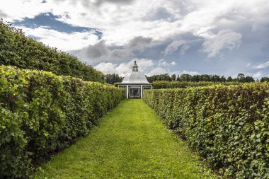 Güzel manikürlü bahçe çalıları.