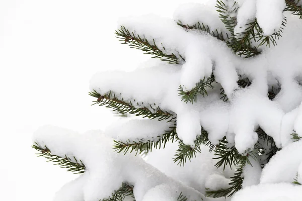 Small decorative tree in the snow Royalty Free Stock Photos