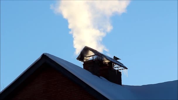 De rook van de schoorsteen van een prive-huis — Stockvideo