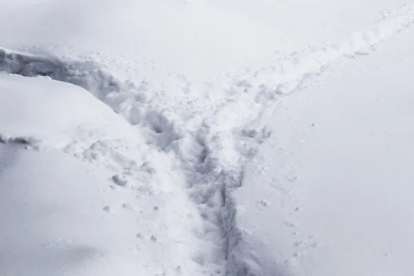 Der Pfad im Schnee — Stockfoto