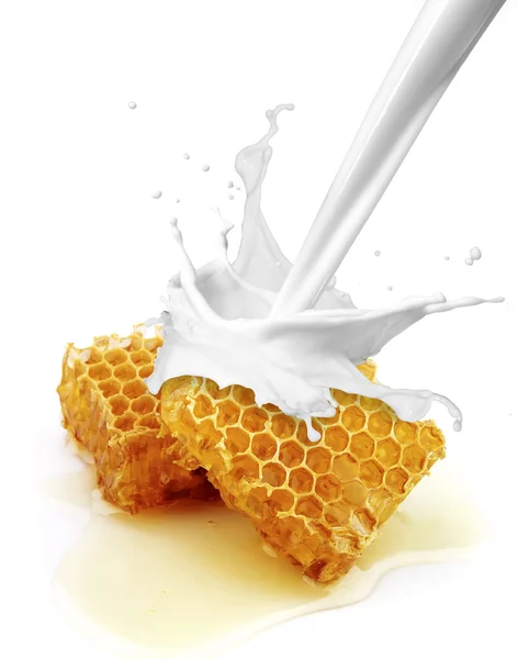Брызги молока на мёд — стоковое фото