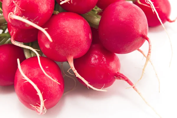 Radishes close-up on a white background — Stock Photo, Image