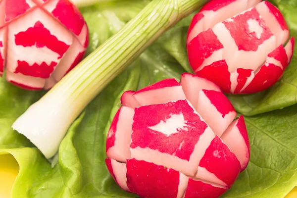 Salat aus Radieschen, Salat und Frühlingszwiebeln — Stockfoto