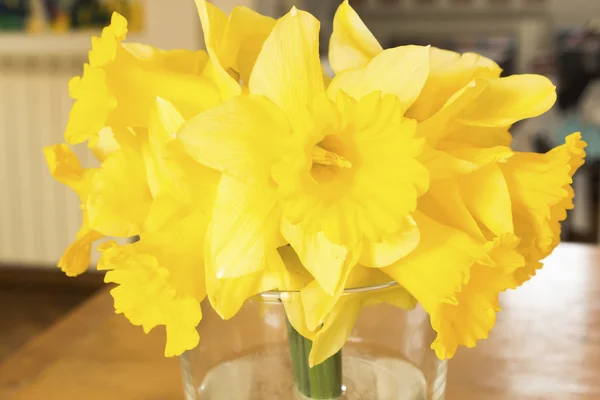 Narcisos amarelos em uma mesa na sala de estar — Fotografia de Stock