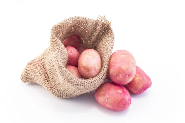 Neue rote Kartoffel im Klecks-Beutel — Stockfoto
